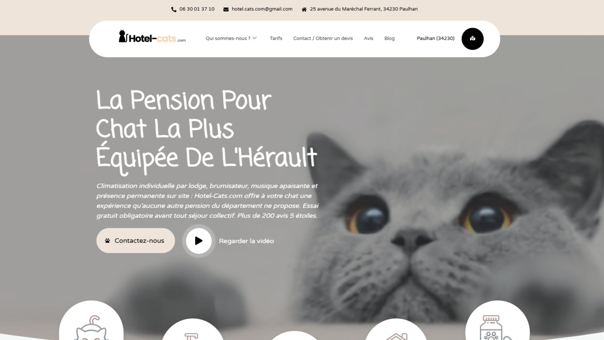 Site de Hotel Cats